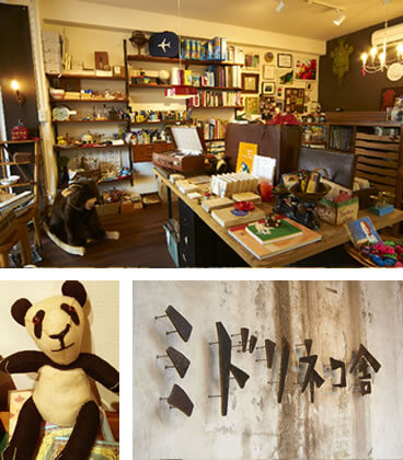 ミドリネコ舎店内